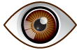 brown eyes